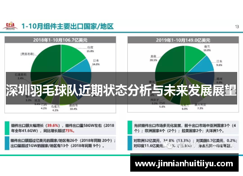 深圳羽毛球队近期状态分析与未来发展展望